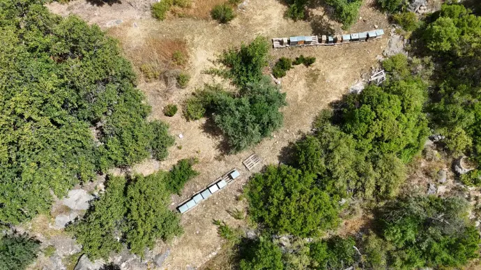 Explora esta singular vista aérea de colmenares en la provincia de Málaga, capturada con nuestra avanzada tecnología de drones. Esta imagen resalta la importancia de la apicultura en el entorno natural, mostrando la distribución estratégica de las colmenas en un paisaje idílico. Nuestros drones permiten a los apicultores un monitoreo eficiente de sus apiarios, control de enfermedades y gestión de la población de abejas, optimizando la producción de miel y contribuyendo a la salud del ecosistema en Andalucía.